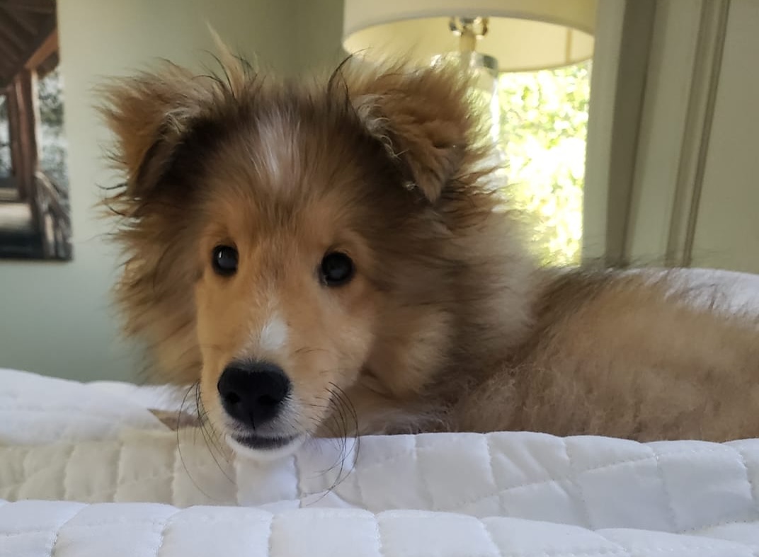 Baby crosby.jpg